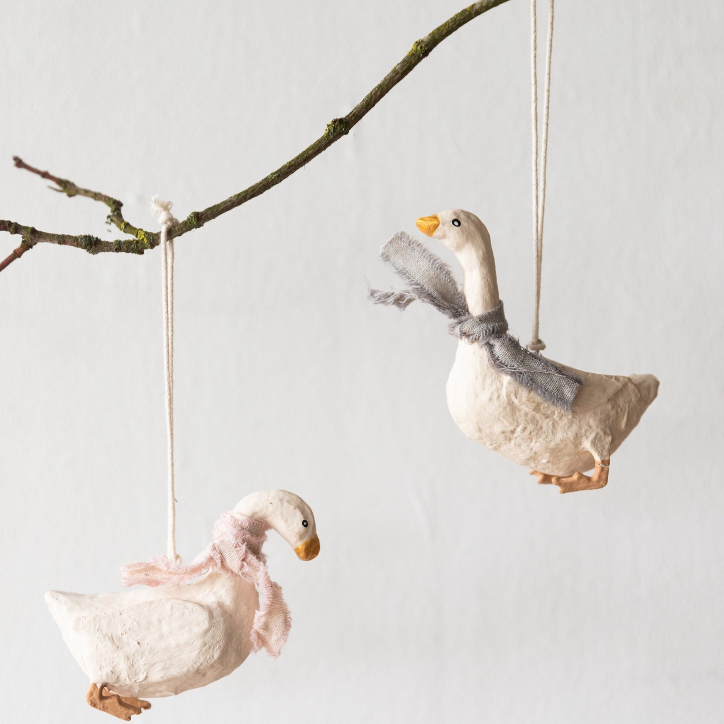 Goose with gray scarf