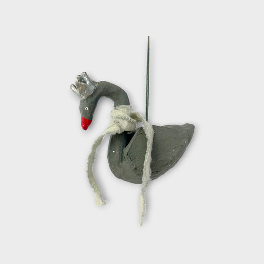 Swan, gray